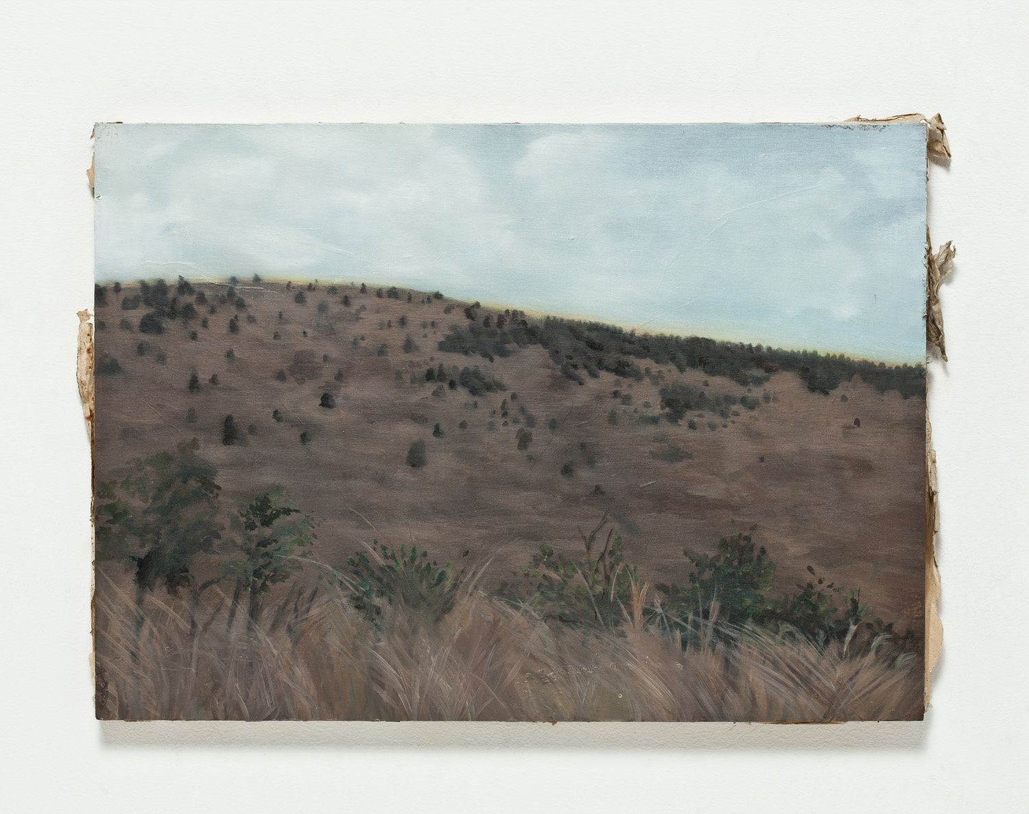 13.다랑쉬 오름2_죽은 화가의 (버려진)종이판넬에 유채_38×52cm_2014.jpg