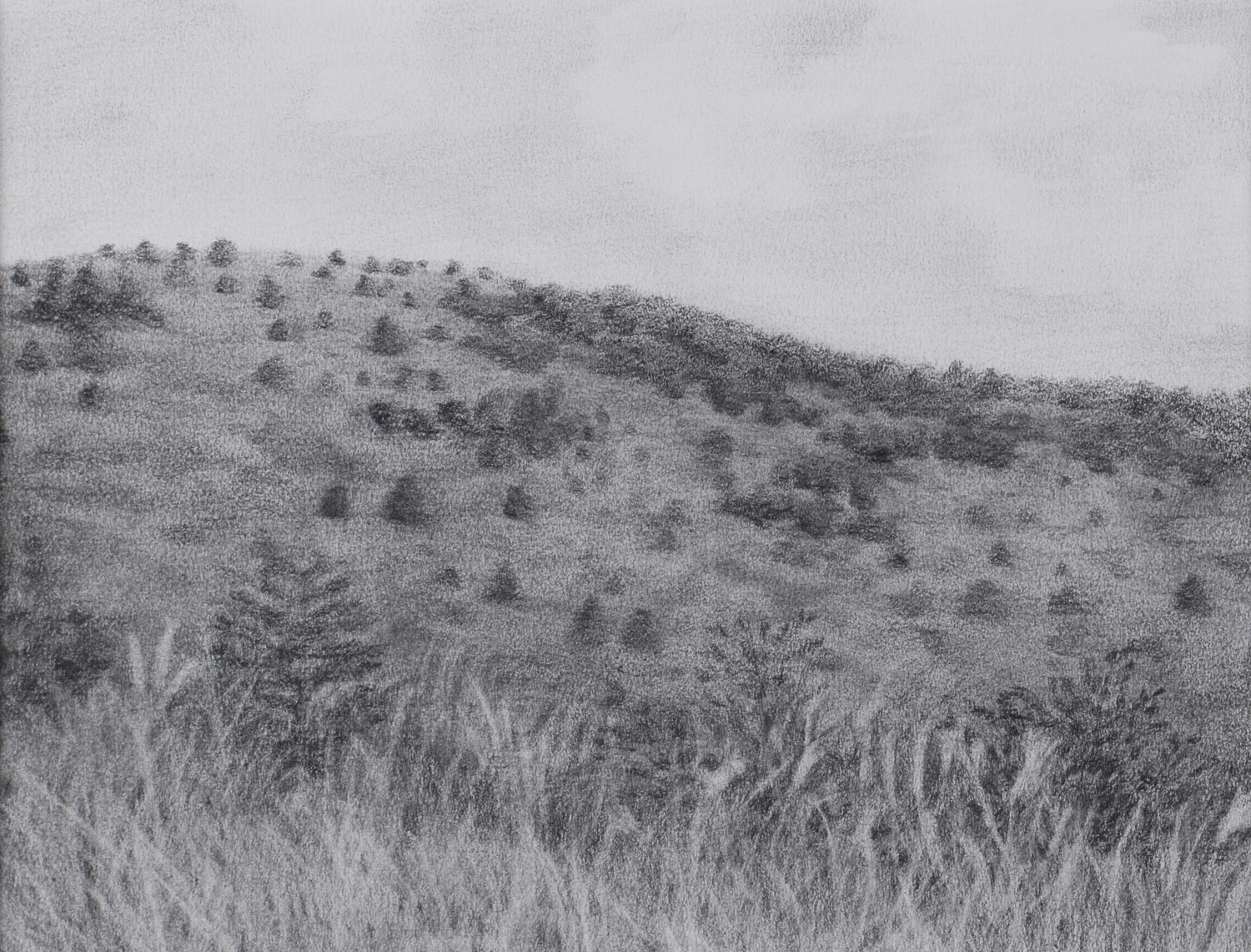 11.다랑쉬 오름1_종이에 연필_18.9x24.8cm_2012.jpg