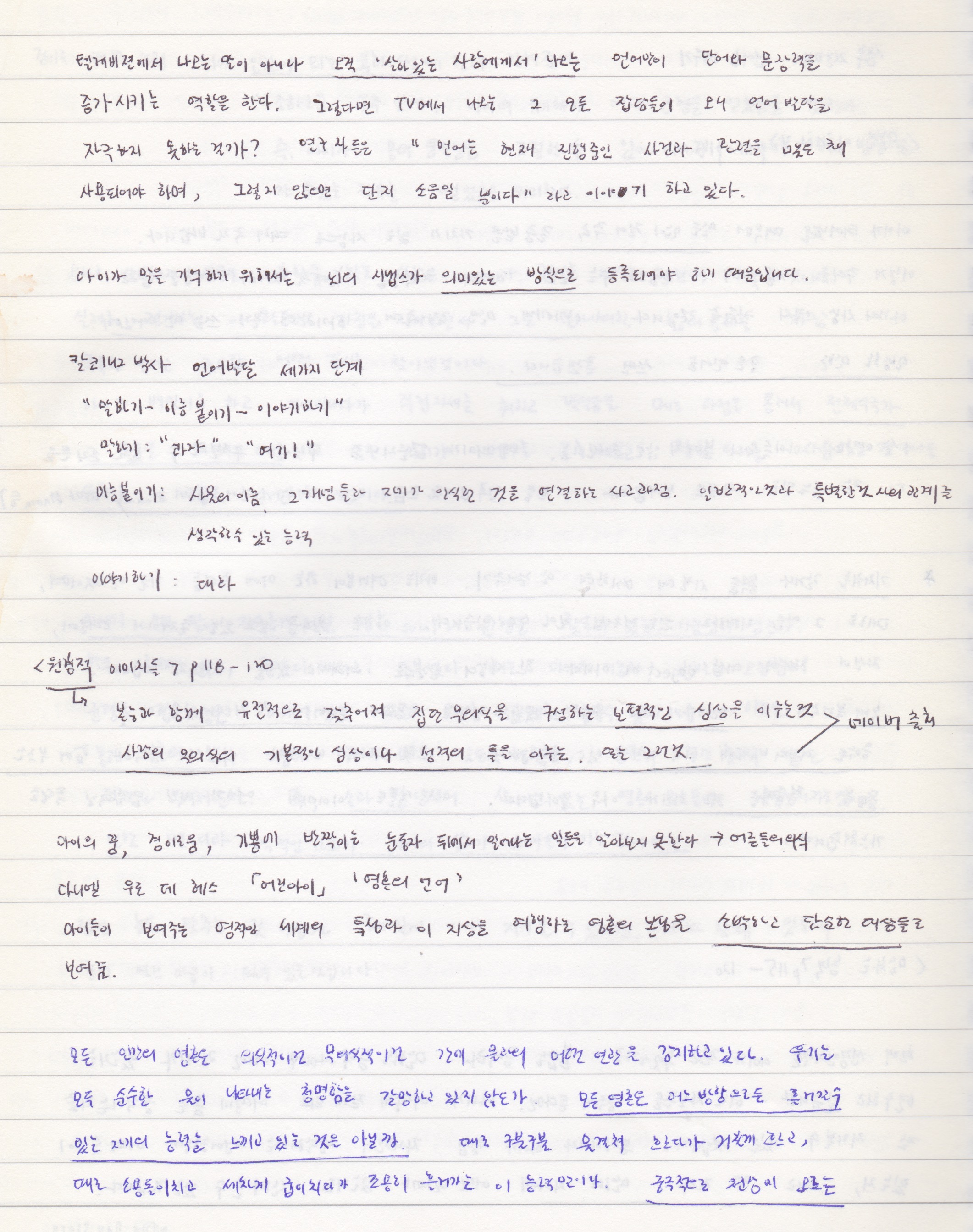 스캔 4.jpeg