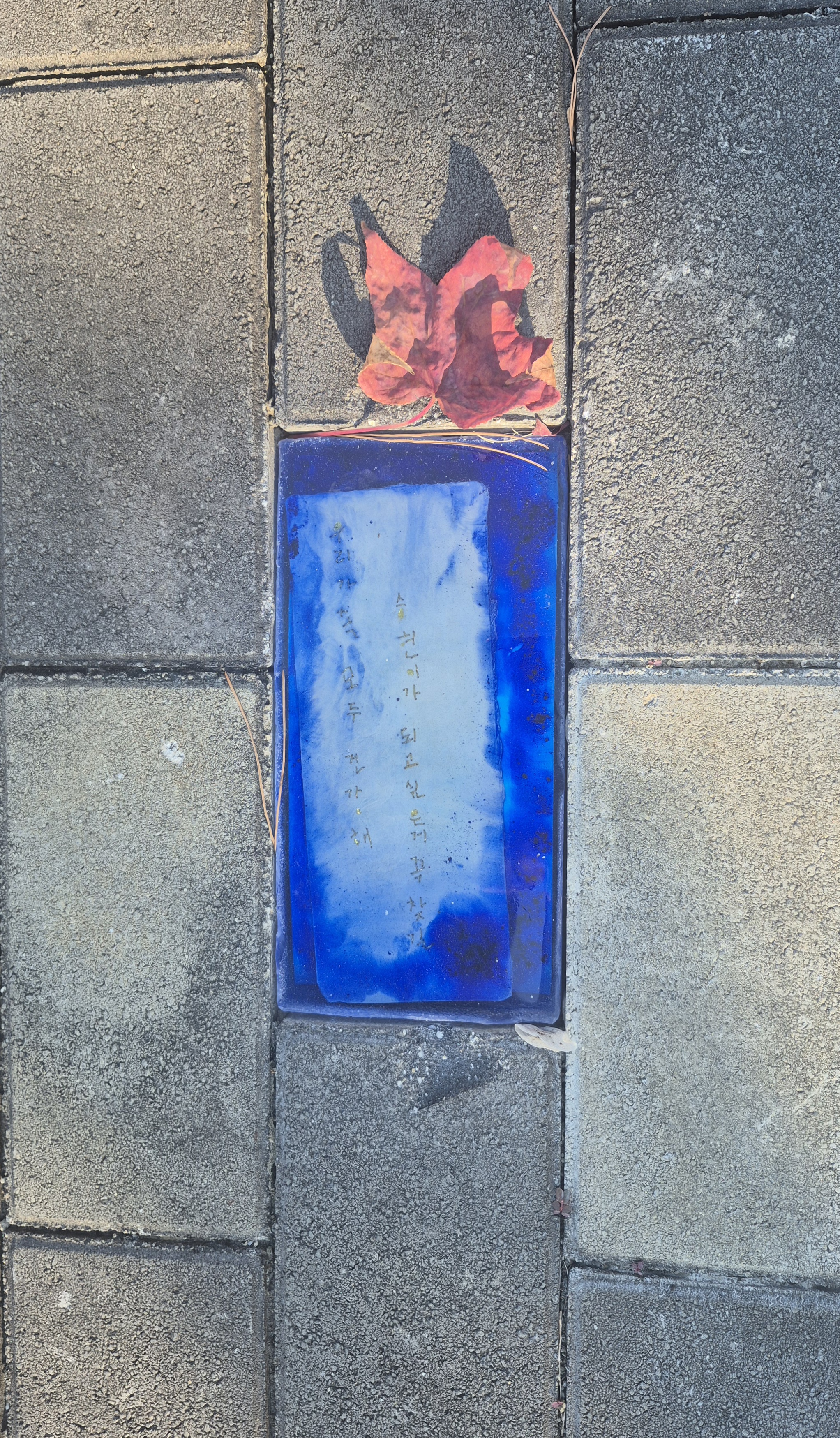 KakaoTalk_Photo_2025-11-11-11-18-55 010.jpeg