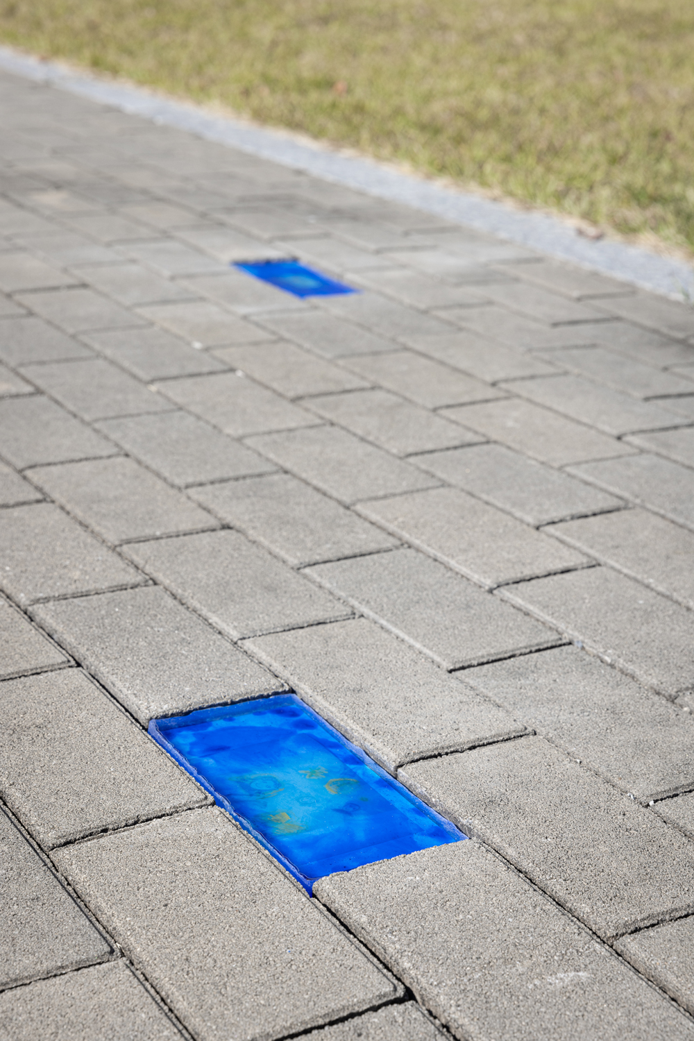 0M7A8438 복사본.jpg