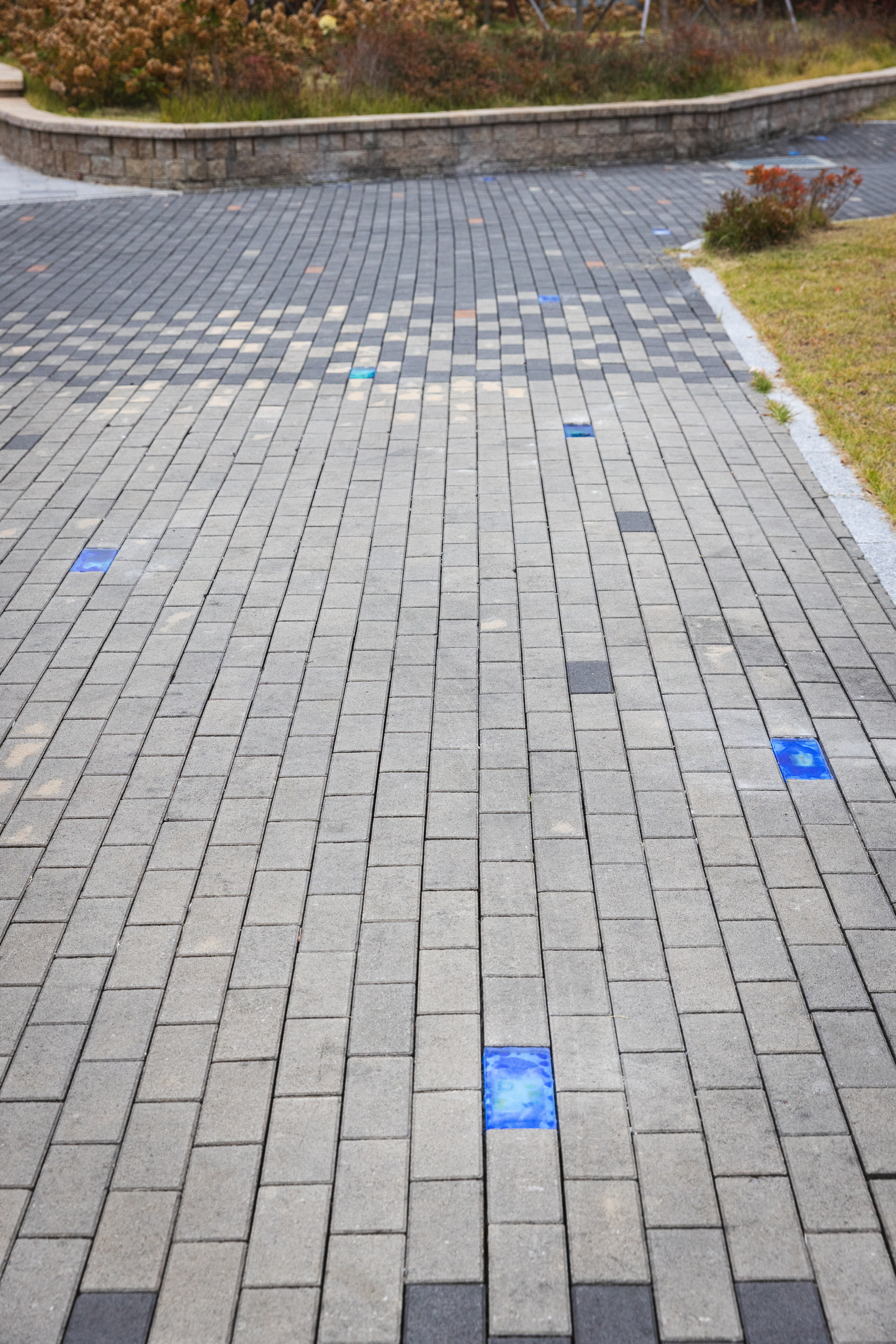 0M7A9000 복사본.jpg