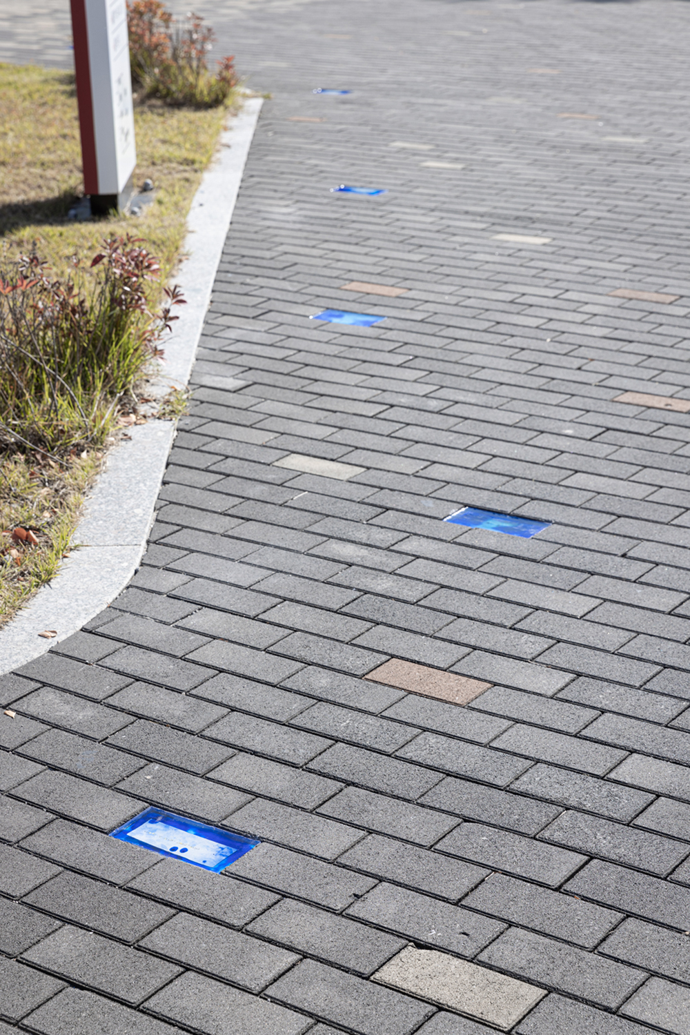 0M7A8431 복사본.jpg