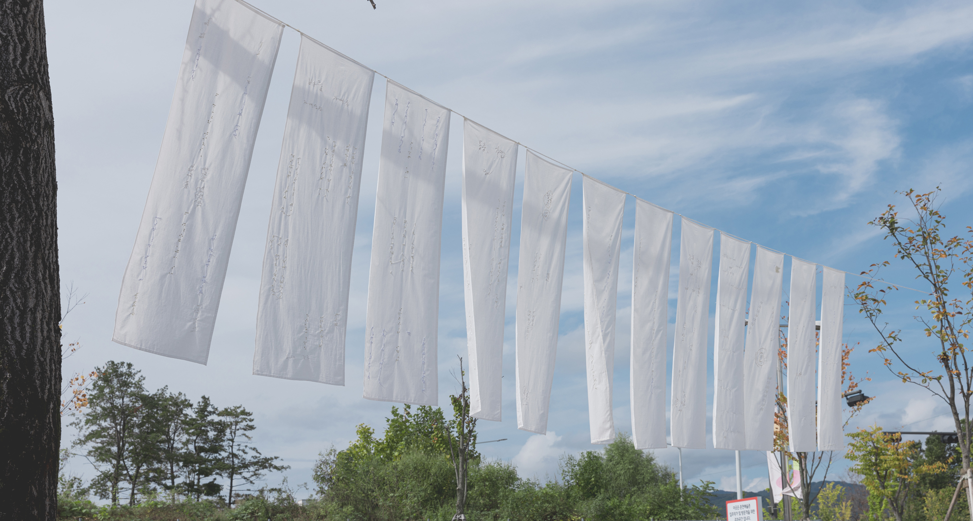 0M7A7513-1 복사본.jpg