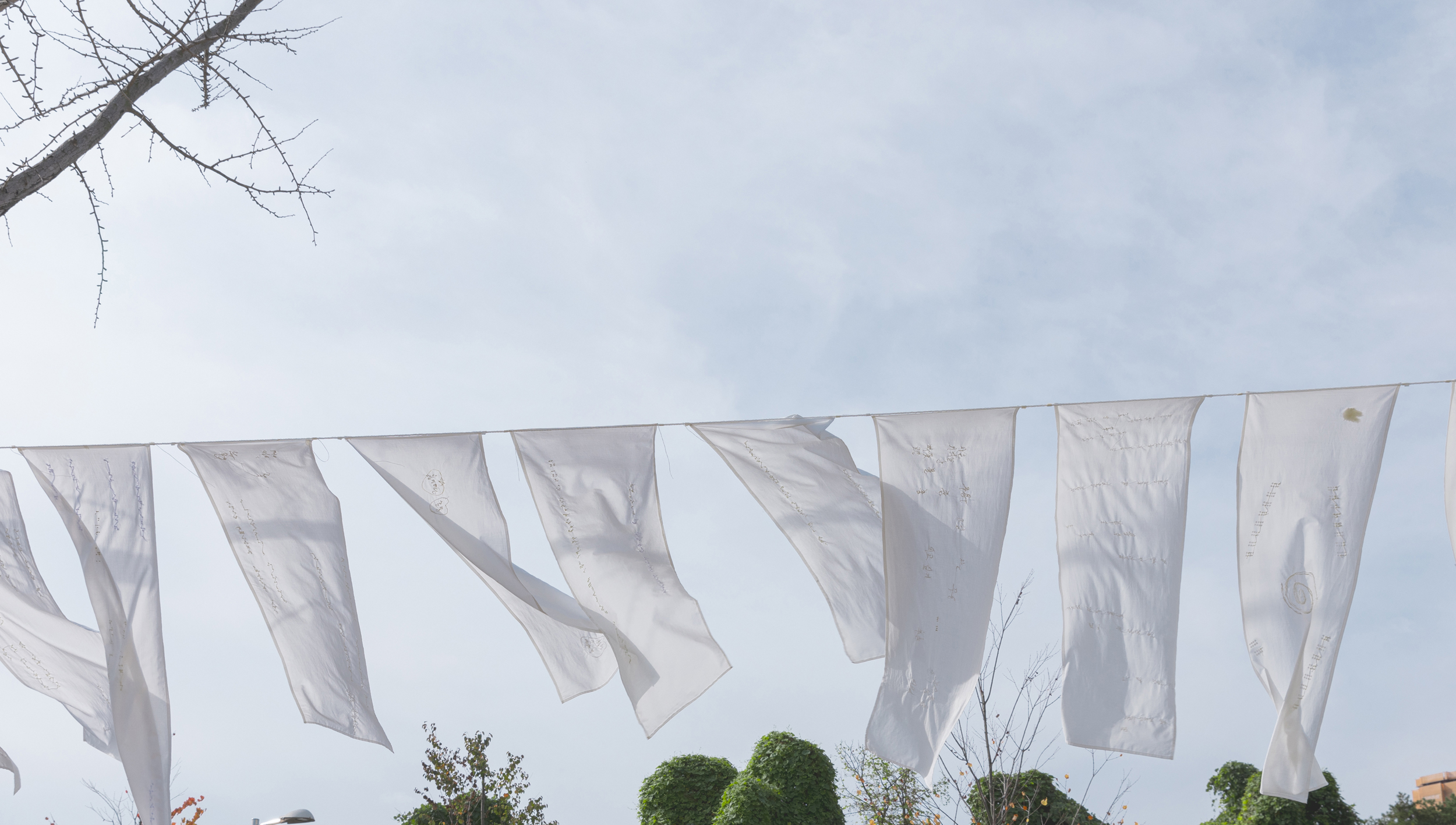 0M7A7491-2 복사본.jpg