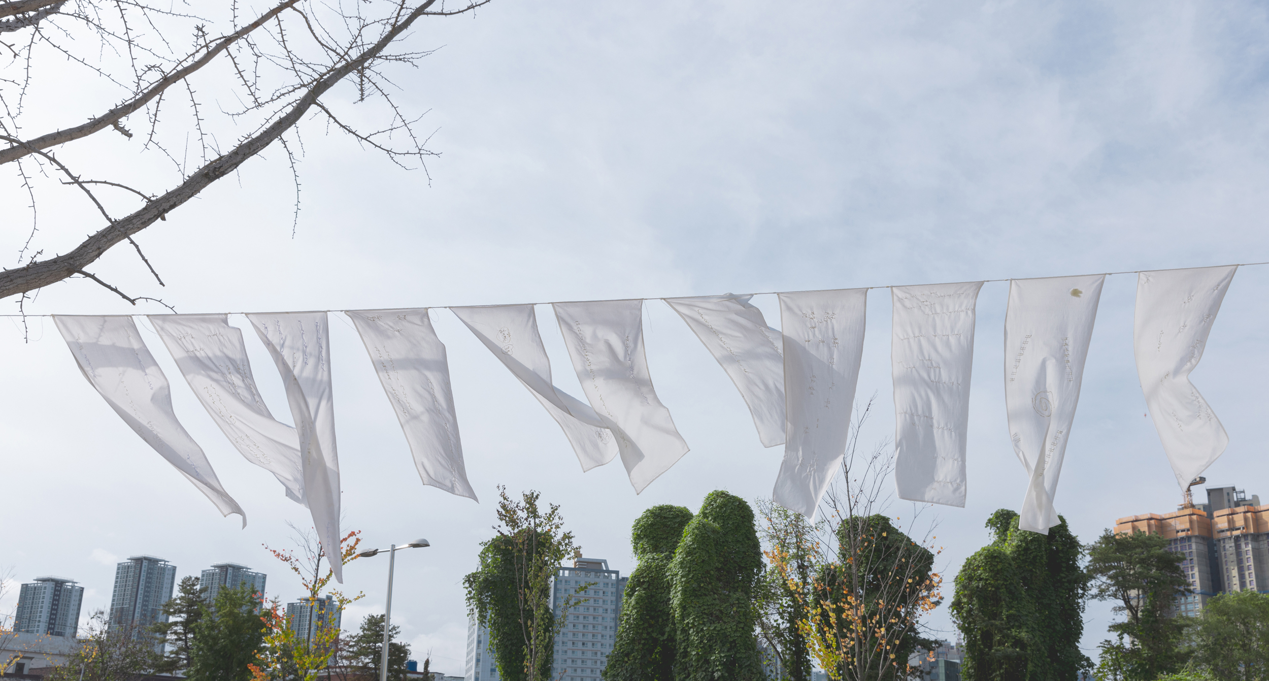 0M7A7491-1 복사본.jpg